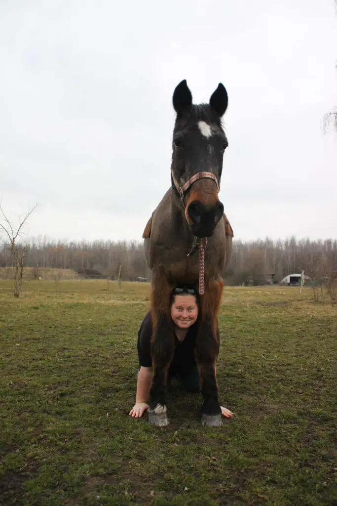Image from Kastor