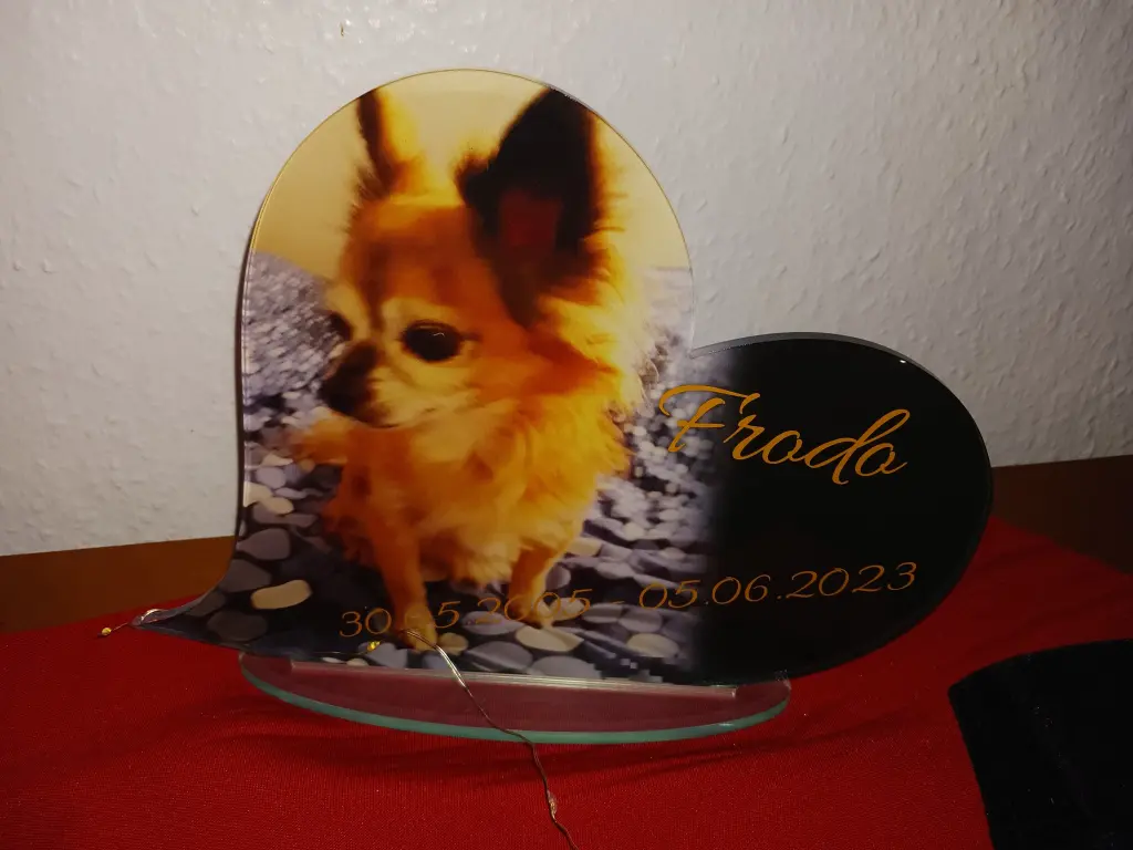 Andachtsbild von Angelika mit Frodo im Herzen ❤️ ❤️ ❤️