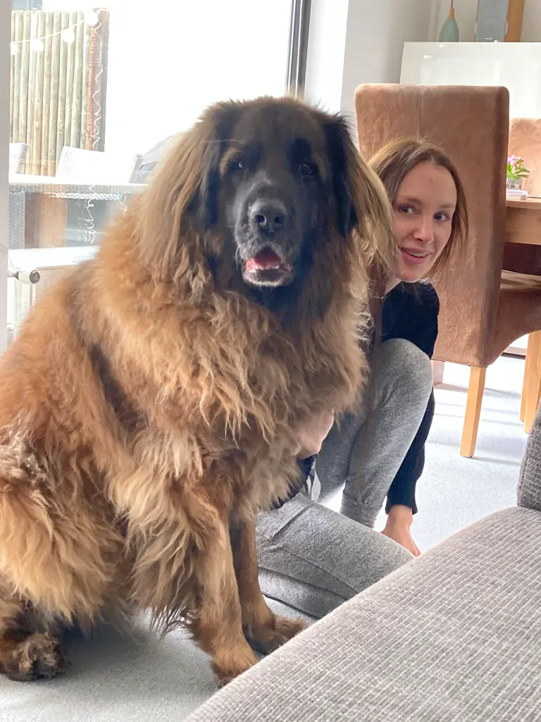 Andachtsbild von Michael