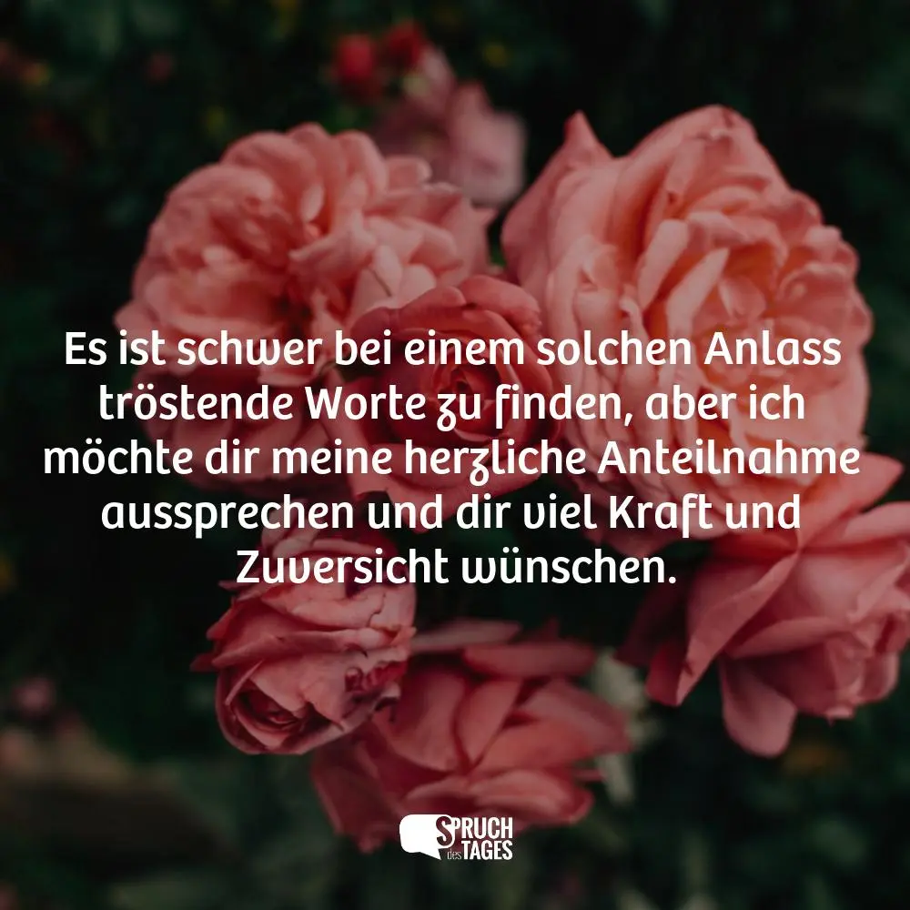 Andachtsbild von Claudia/ASKO ❤️