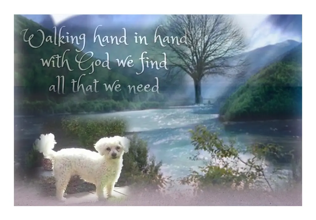 Andachtsbild von Gaby mit Snowy* im Herzen