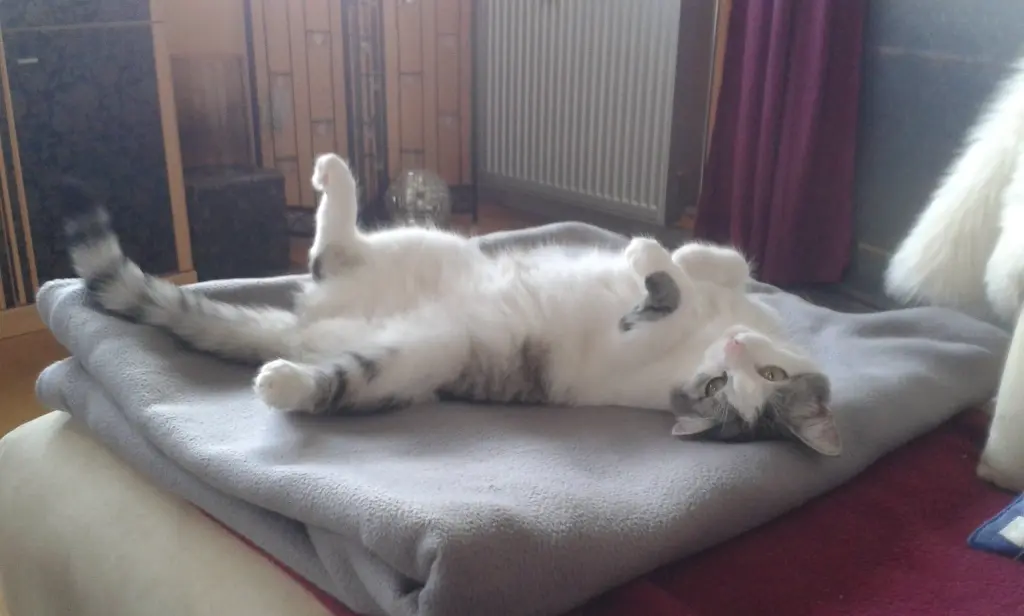 Andachtsbild von Christine und Grischi
