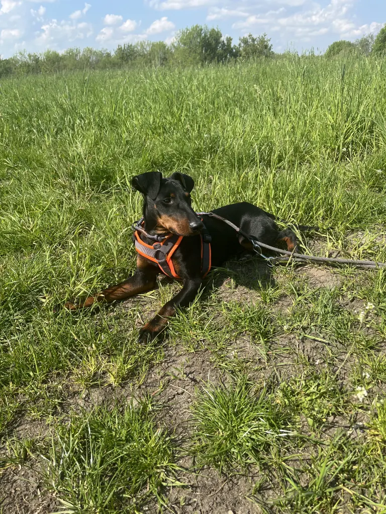 Image from Zero the Hero