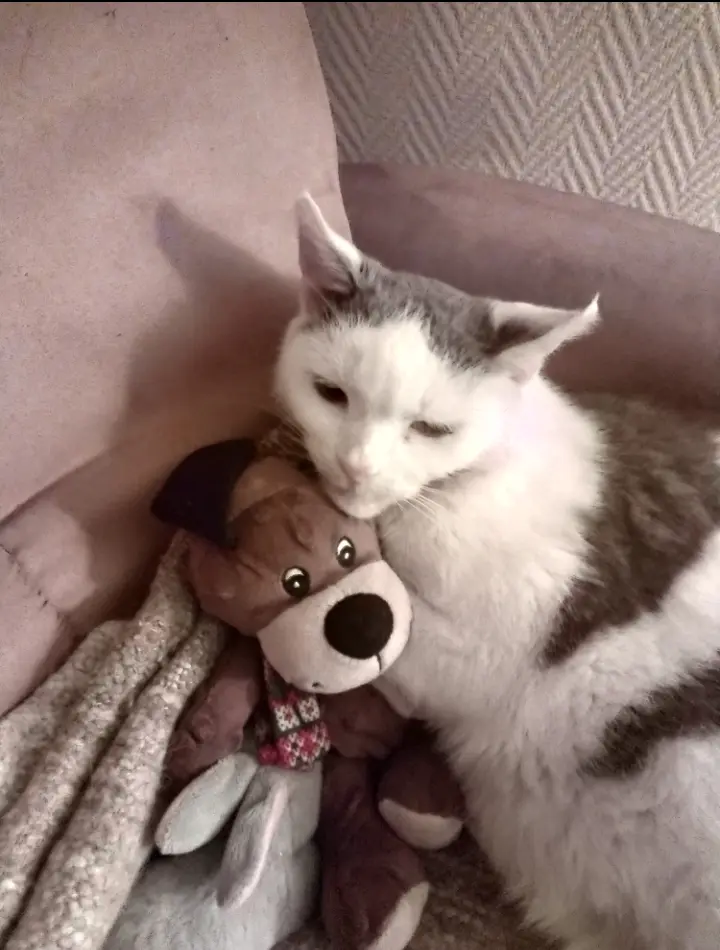 Condolence image of Mama Corinna