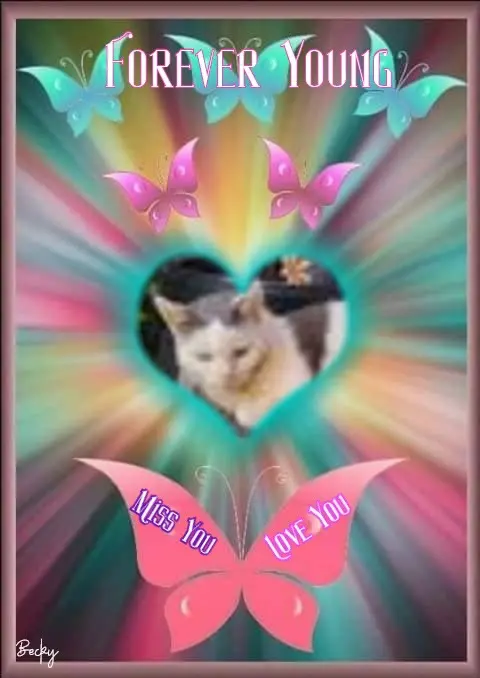 Condolence image of Rosenchen❤️❤️❤️❤️❤️fur Jengileinchen❤️⭐️