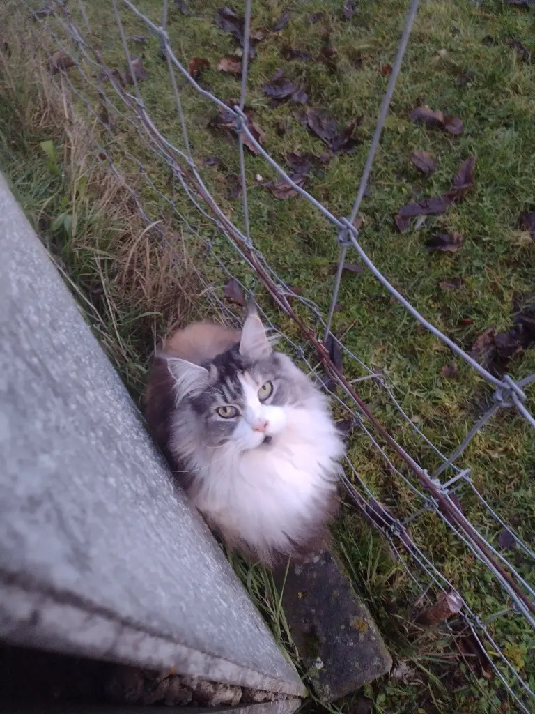 Condolence image of Kayly 