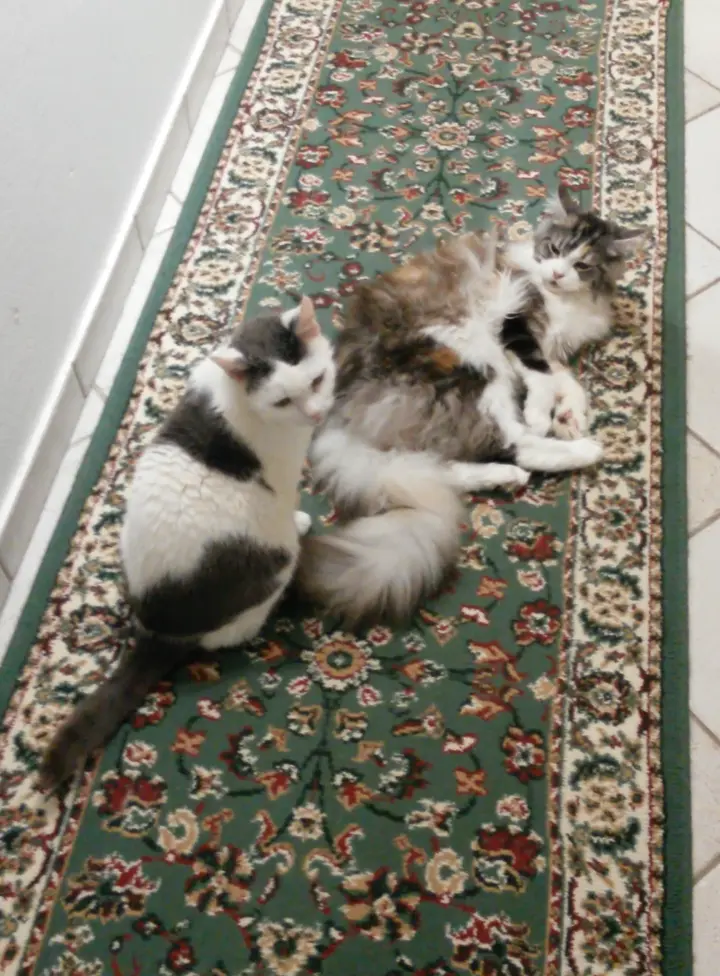 Condolence image of Mama❤️