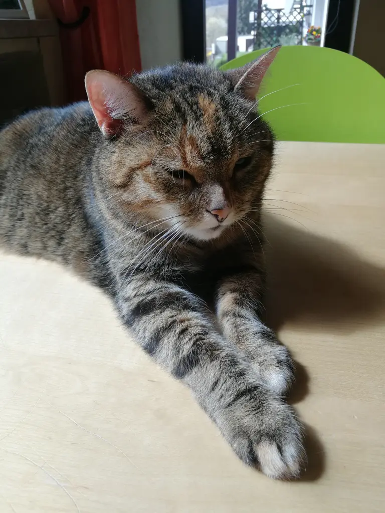 Condolence image of Daniela  an Jengi ❤️