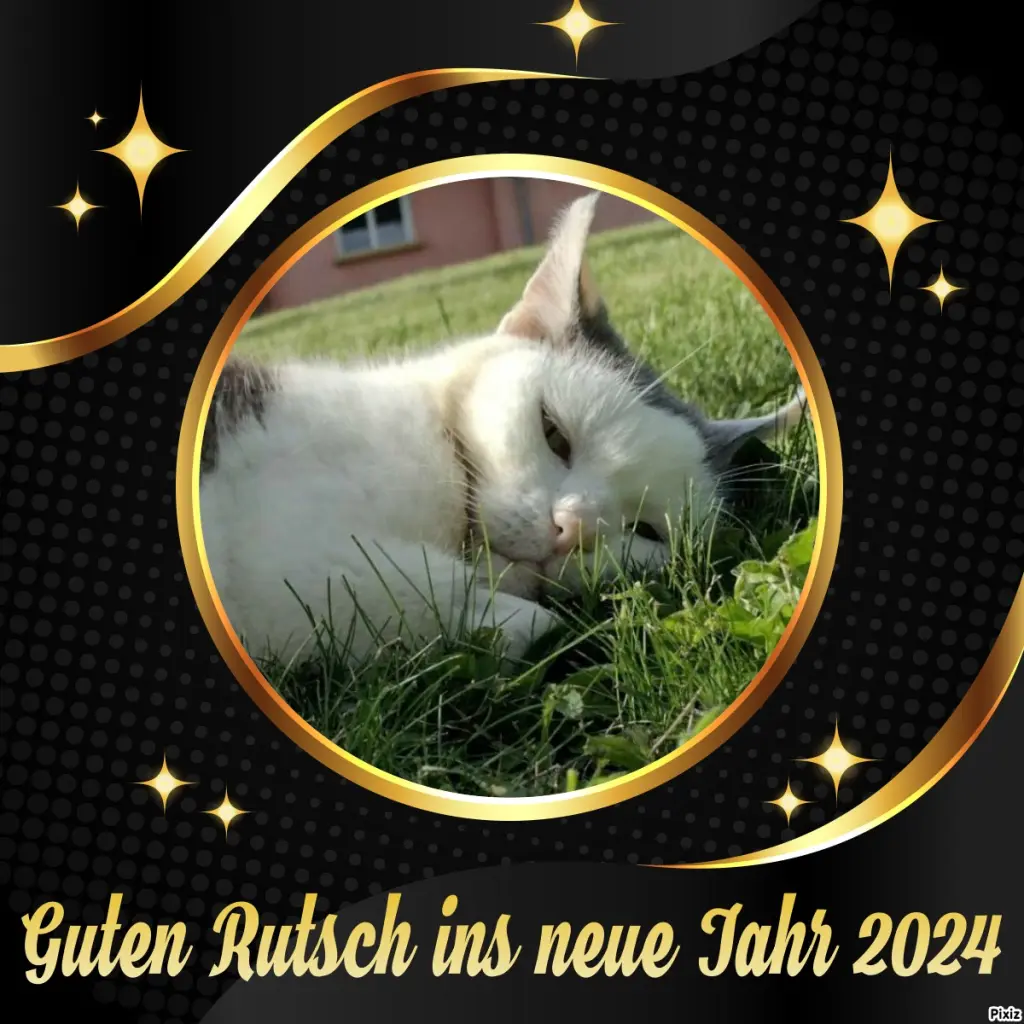 Condolence image of Timmys Mutti Tanja an Sternenprinz Jengi ❤