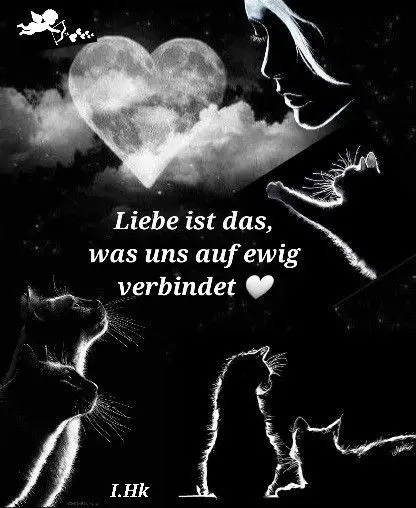 Condolence image of Für Dich kleines Engelchen Jengi ❤️