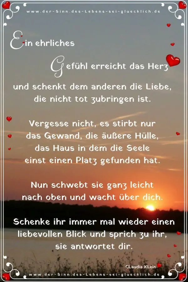 Condolence image of Daniela  für Jengi Kuschelbär ❤️