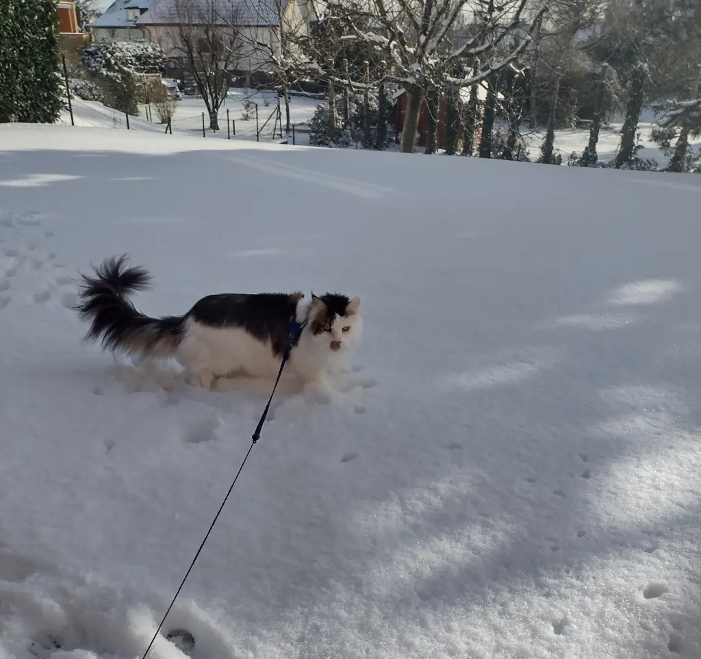 Condolence image of Corinna und Emmeli ♥️