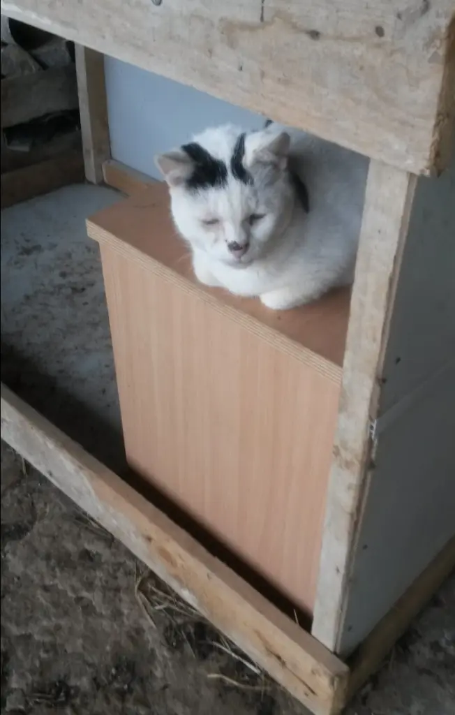 Condolence image of Mama ❤️