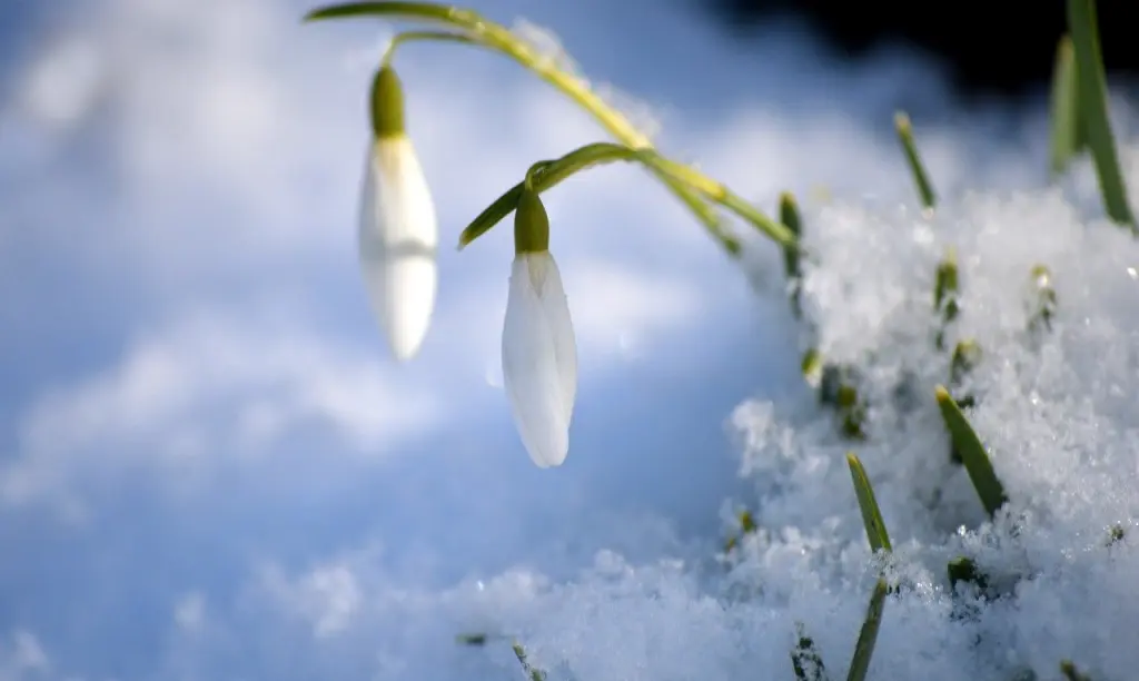 Condolence image of Für Jengi ❤️