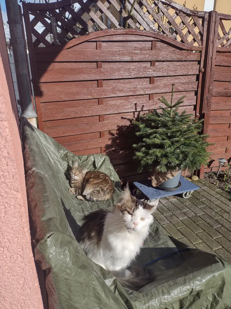 Condolence image of Mama ❤️