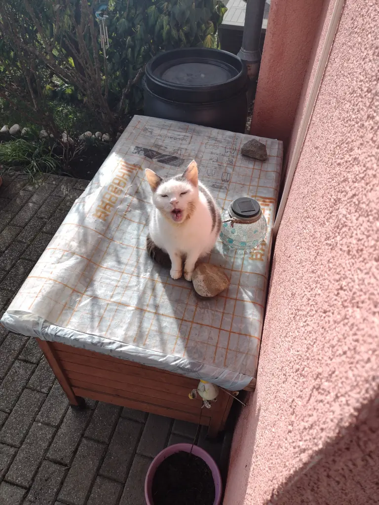 Condolence image of Mama ❤️