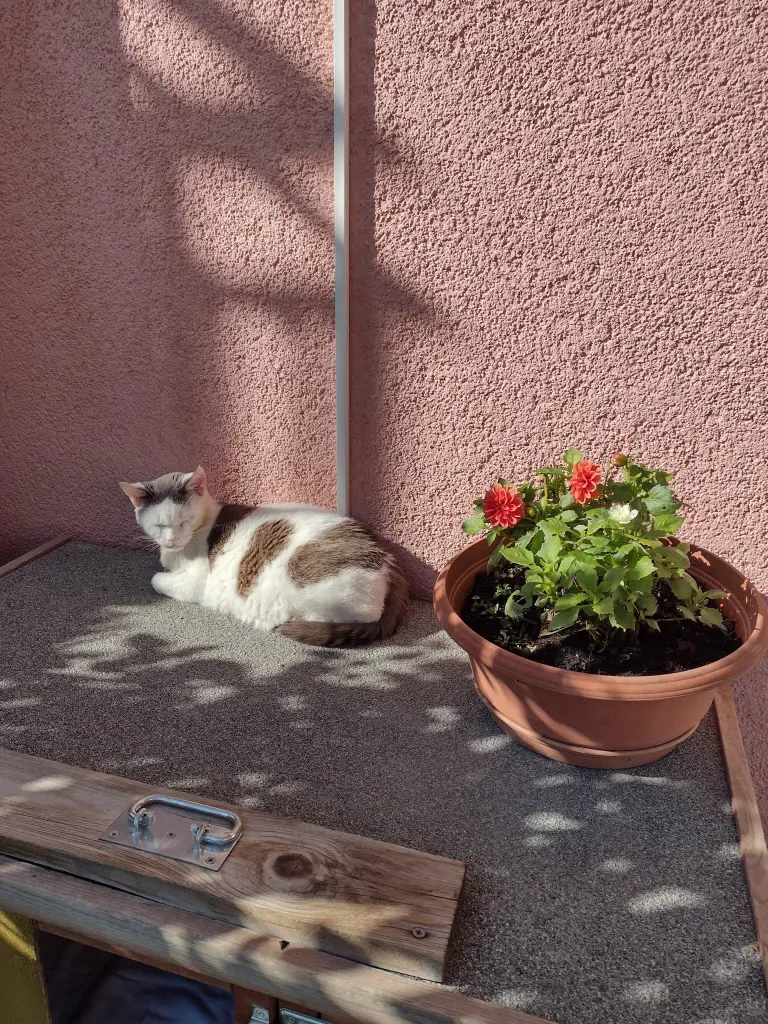 Condolence image of Mama ❤️