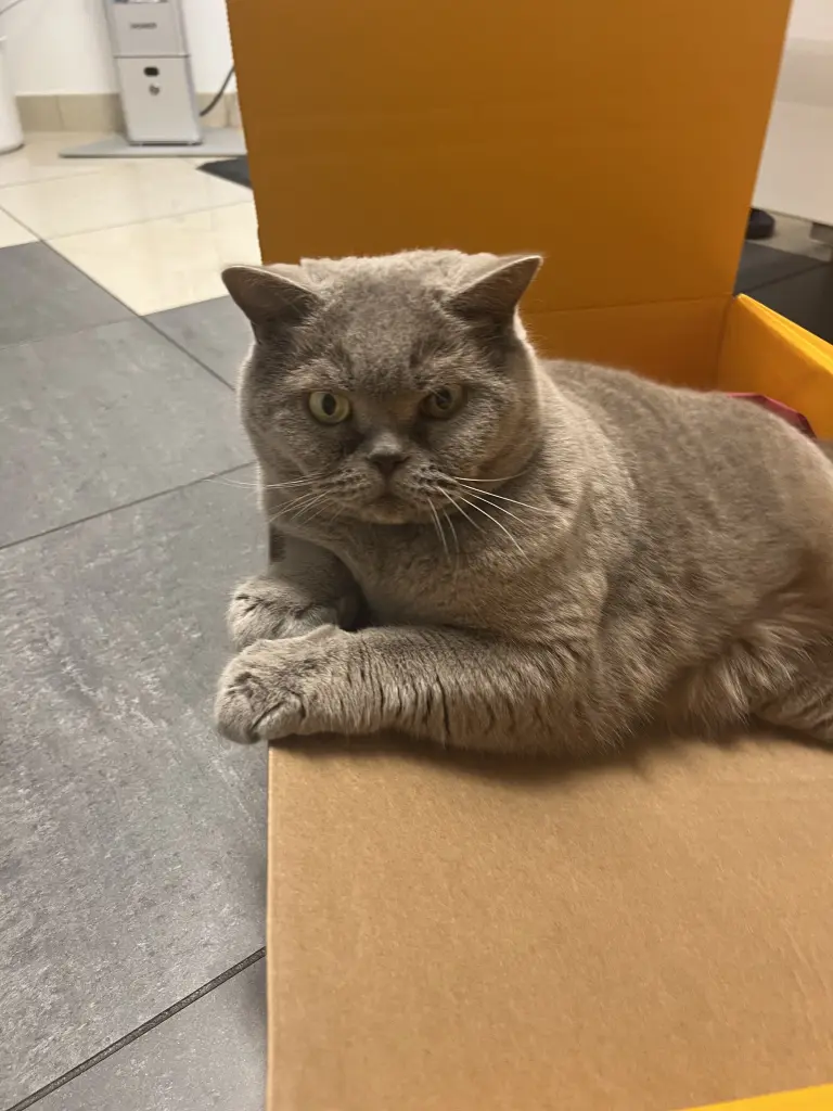 Condolence image of An Jengi und Corinna