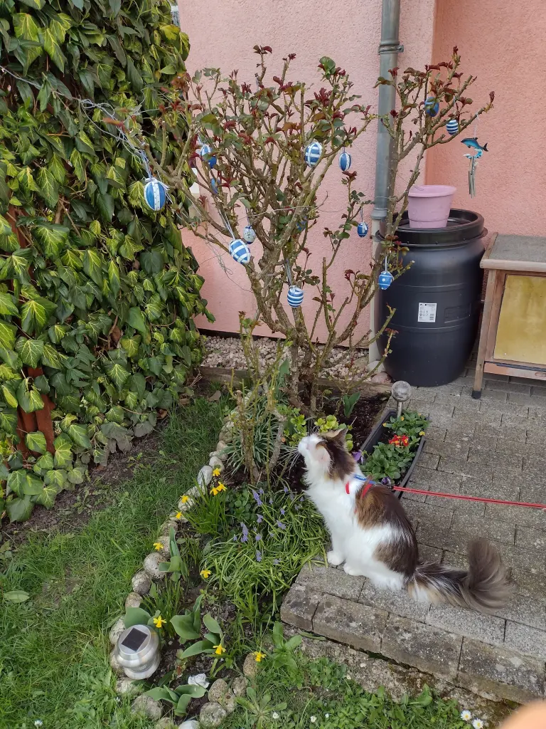 Condolence image of Mama ❤️