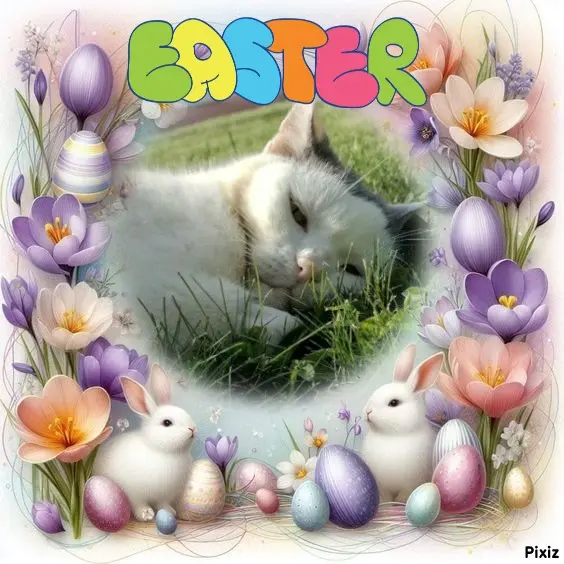 Condolence image of Timmys Mutti Tanja an Sternenprinz Jengi ❤