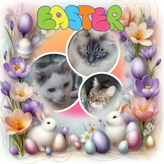 Condolence image of ❤️❤️❤️❤️❤️❤️❤️❤️❤️❤️