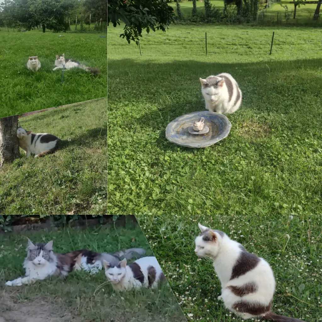 Condolence image of Mama ❤️