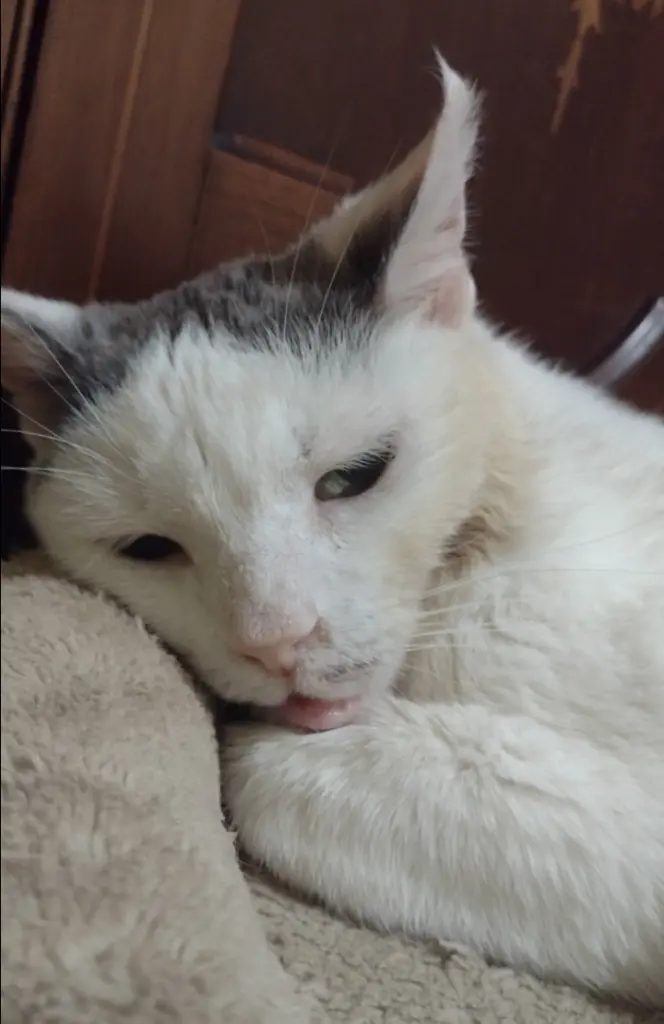 Condolence image of Mama ❤️