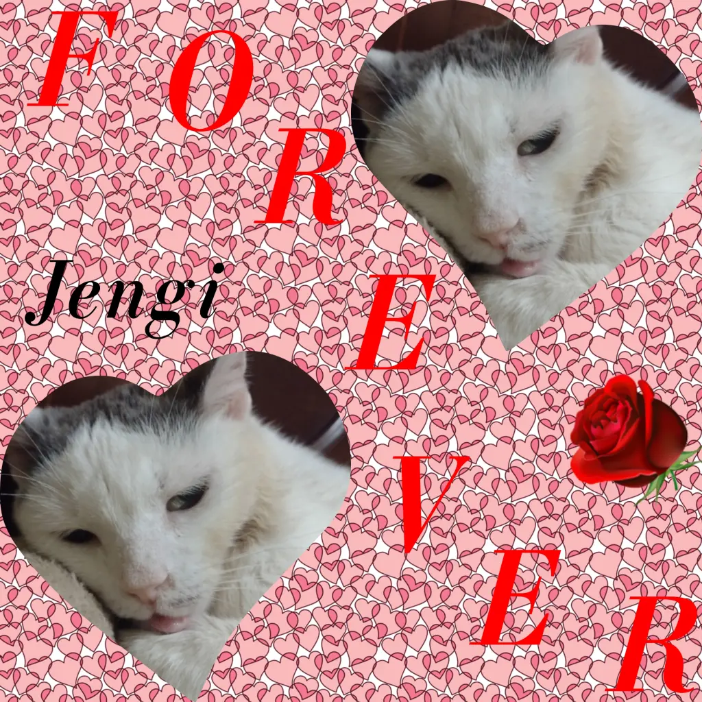 Condolence image of Mama ❤️