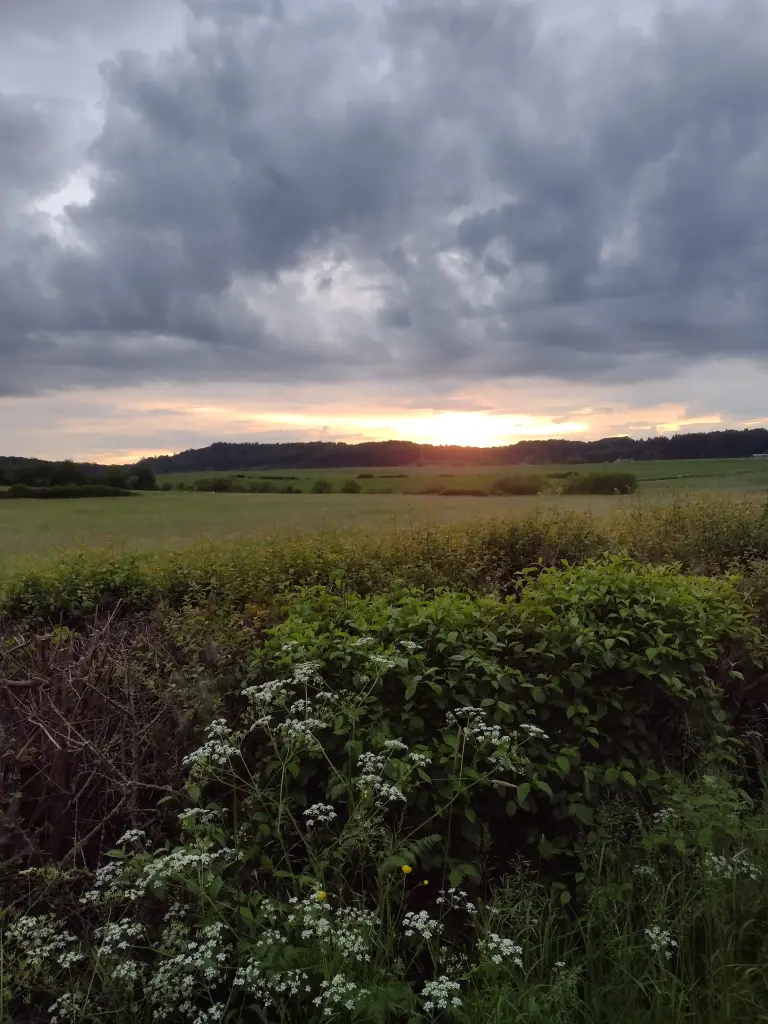 Condolence image of Corinna mit Emma, Jengi, Pummelchen und anderen Sternleine im Herzen