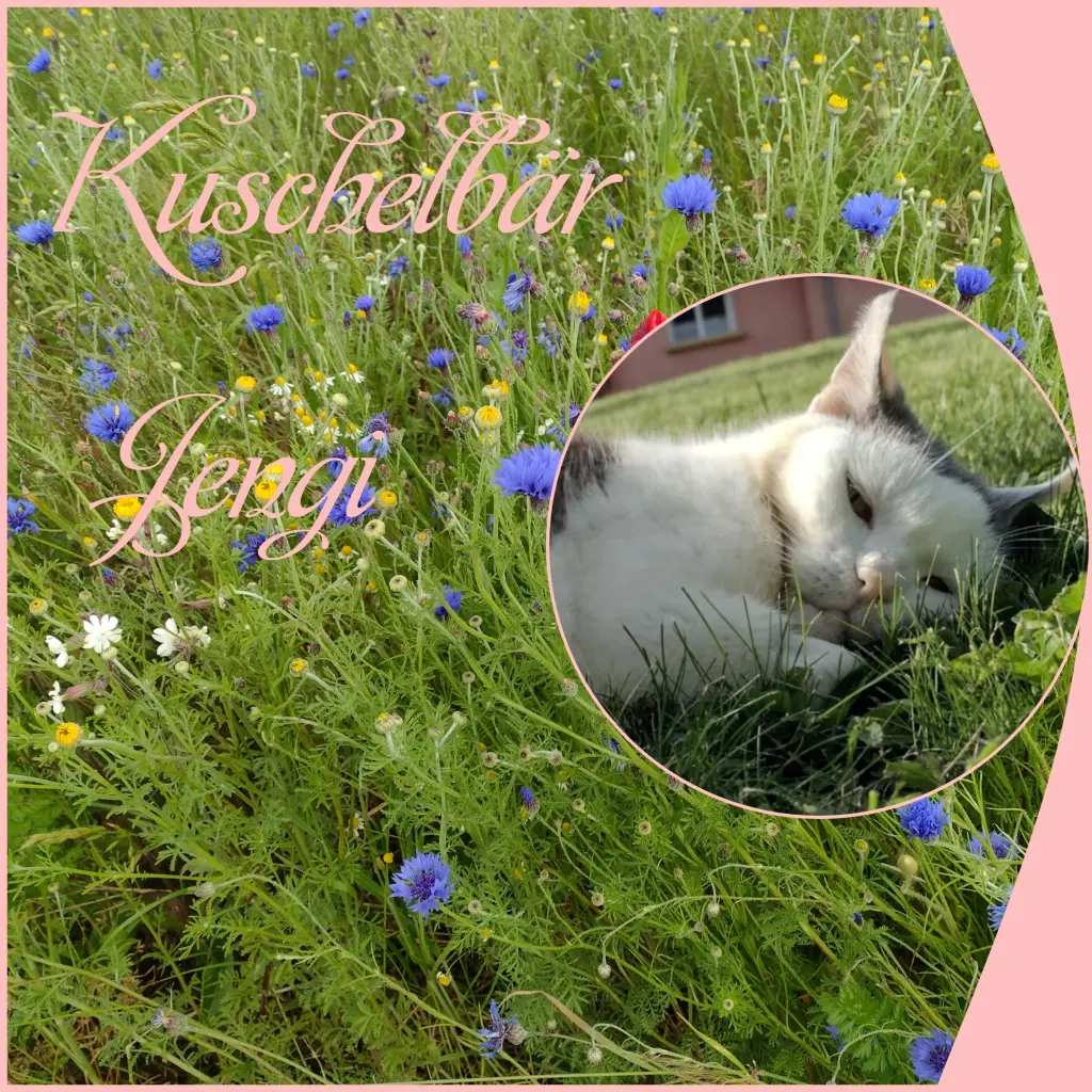 Condolence image of Corinna mit Emma, Jengi, Pummelchen und anderen Sternleine im Herzen