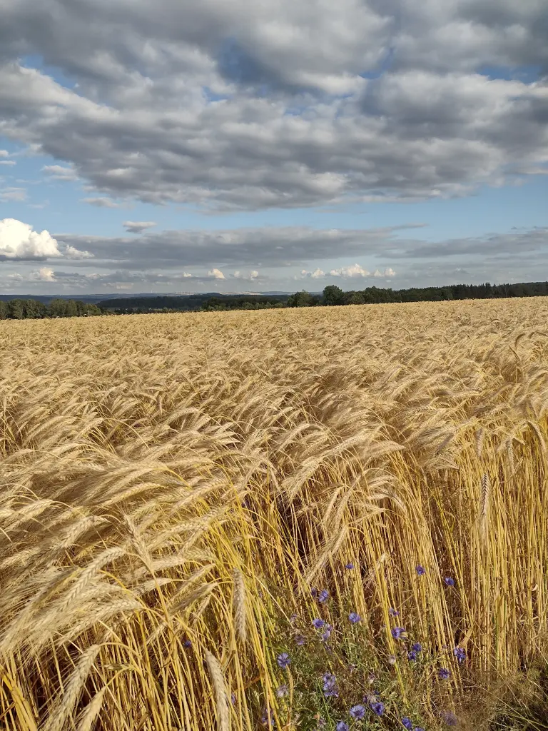 Condolence image of Mama ❤️