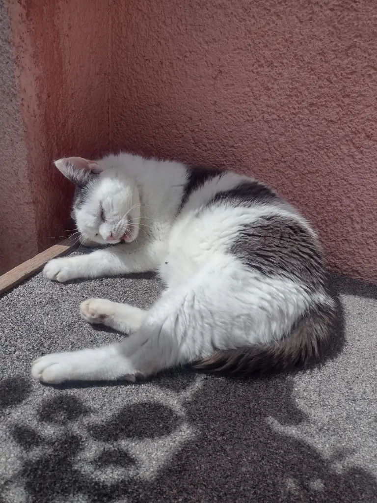 Condolence image of Mama ❤️