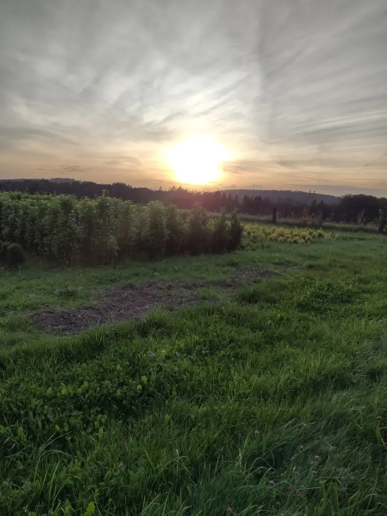 Condolence image of Mama ❤️