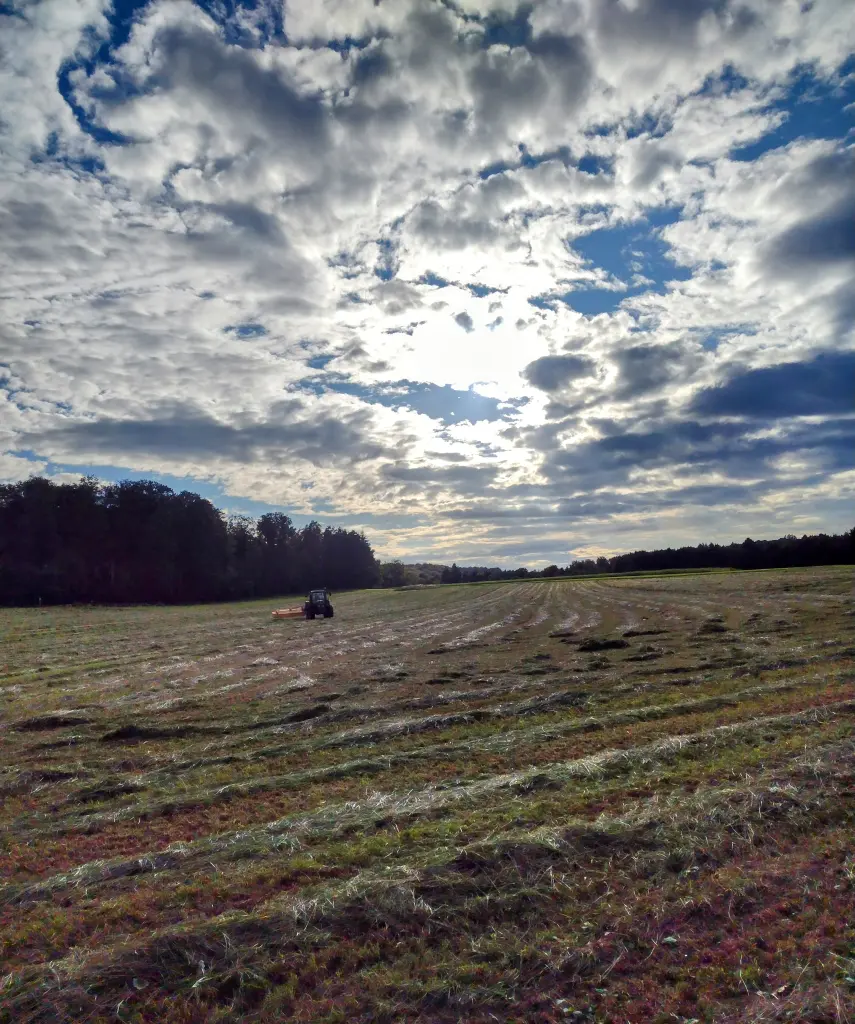 Condolence image of Mama ❤️