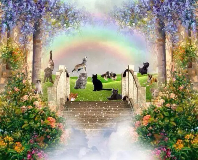 Condolence image of Anja mit Maja & Gräuli im  ༺❤️༻