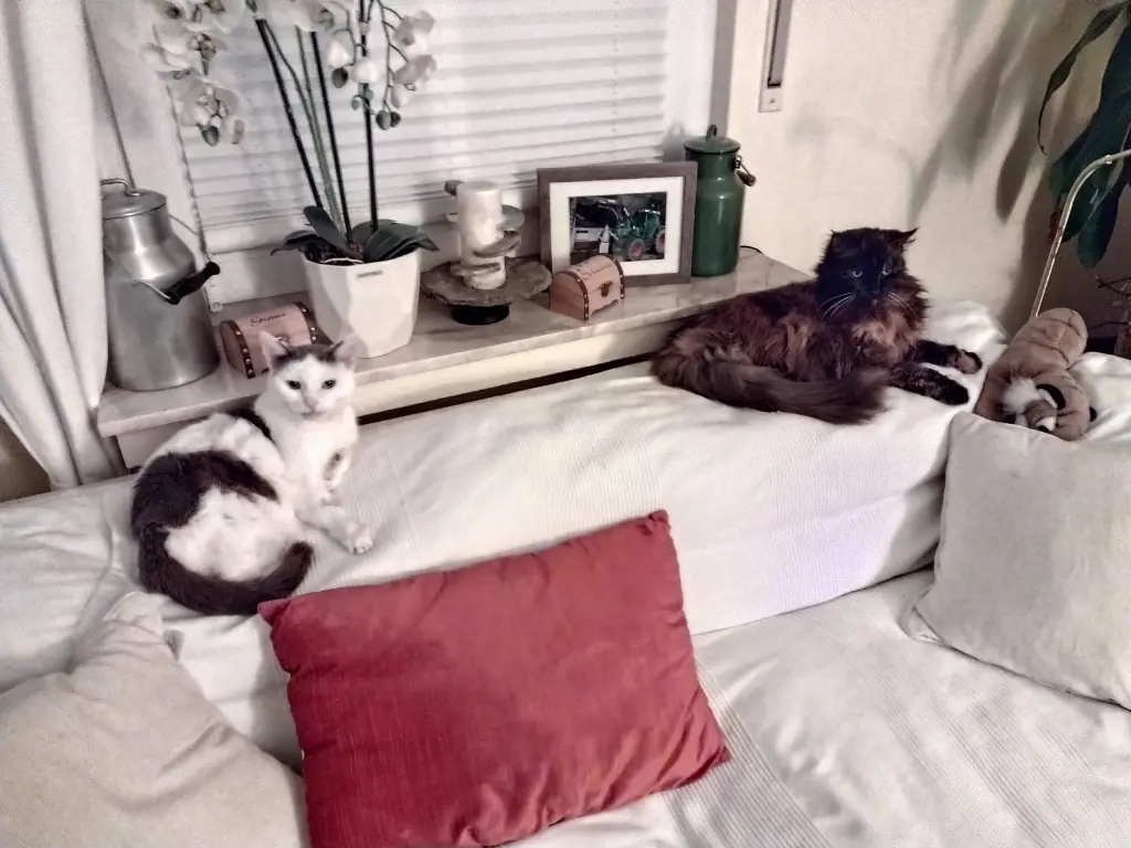 Condolence image of Mama ❤️