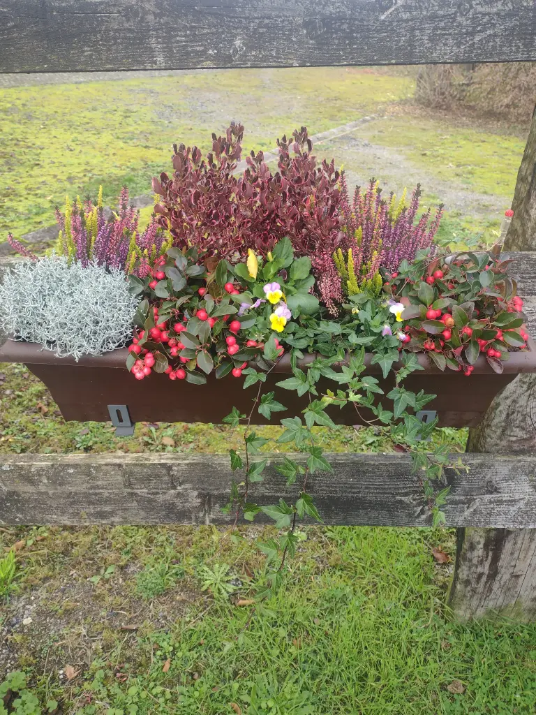 Condolence image of Mama ❤️