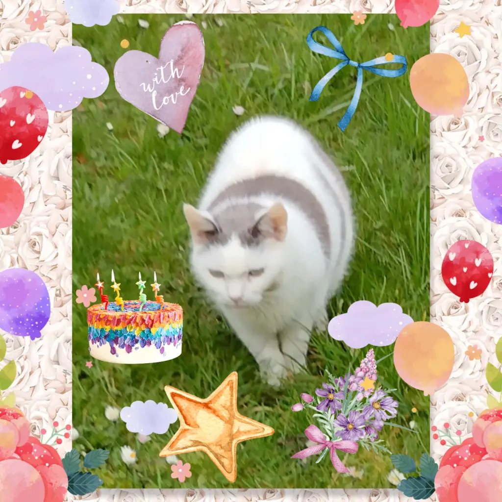 Condolence image of ❤️Eike und Edeltraud ❤️ 