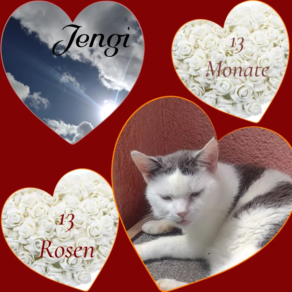 Condolence image of Mama &Co. ❤️