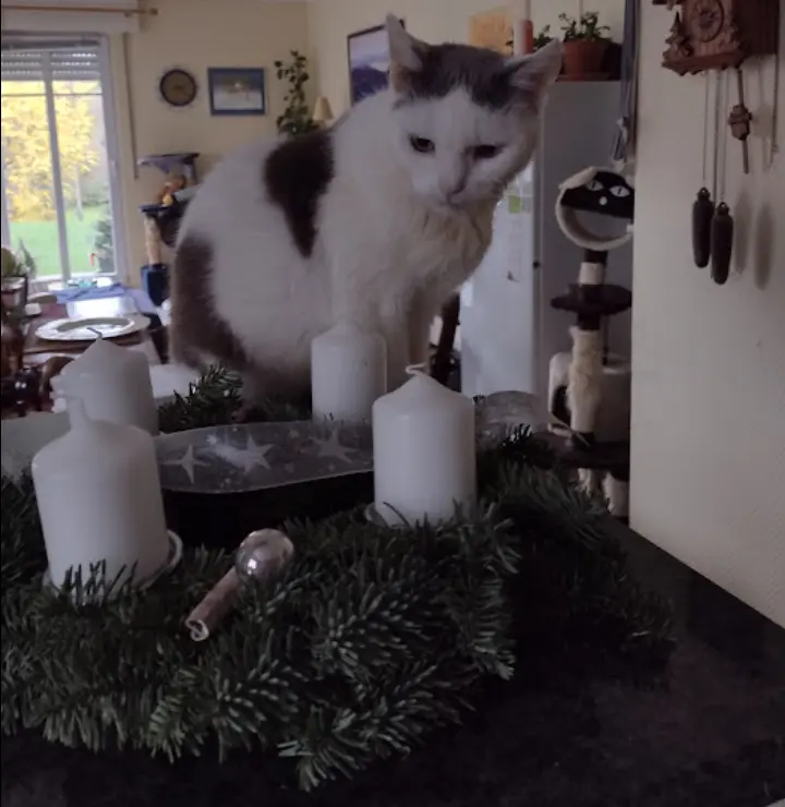 Condolence image of Mama ❤️