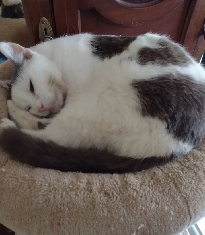 Condolence image of Mama ❤️