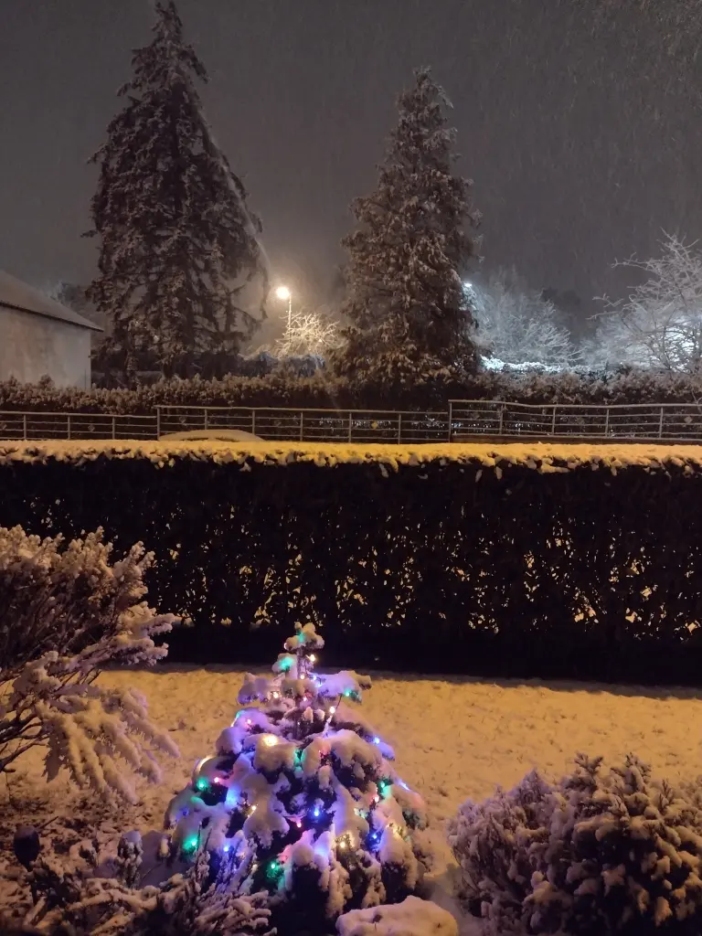 Condolence image of Mama ❤️