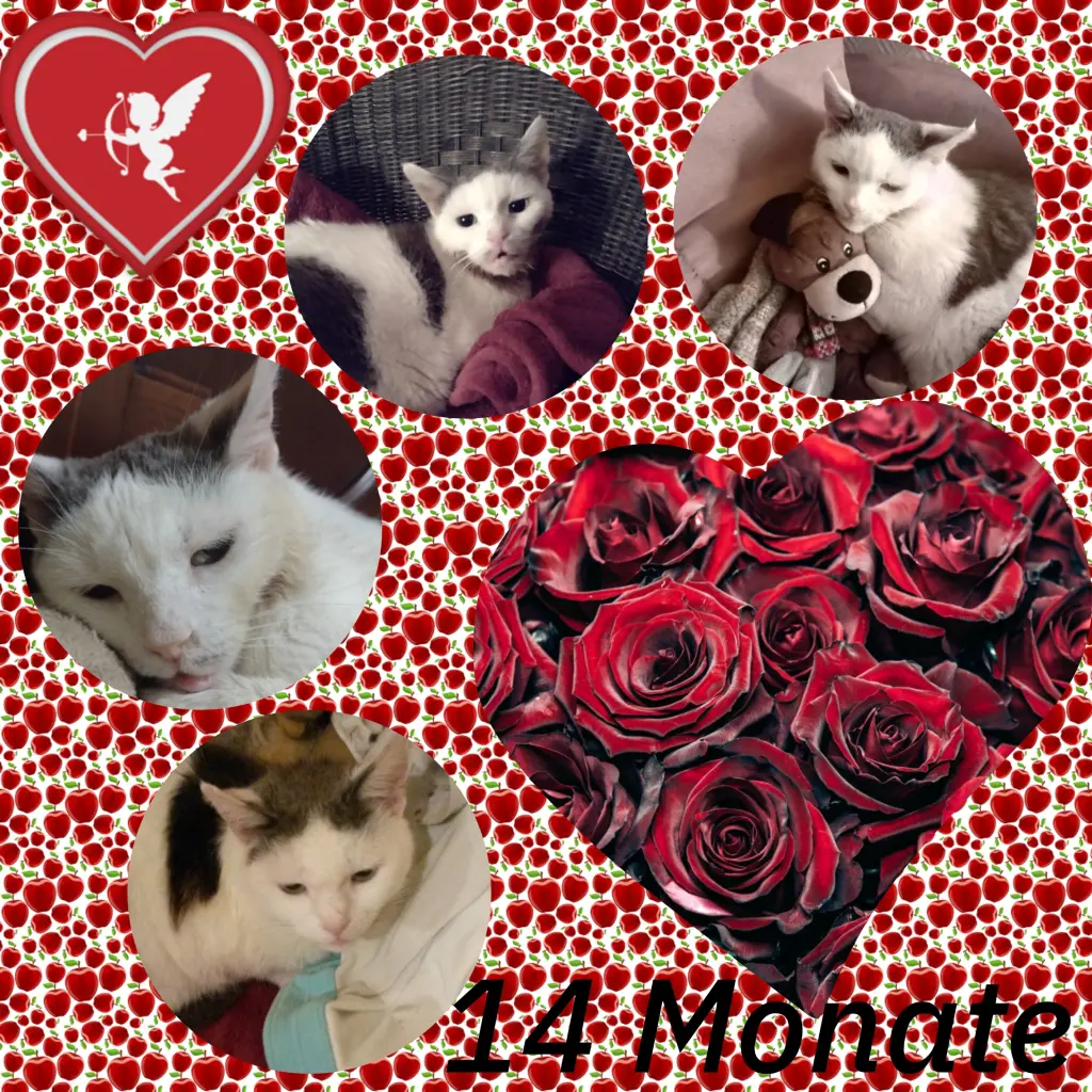 Condolence image of Mama ❤️