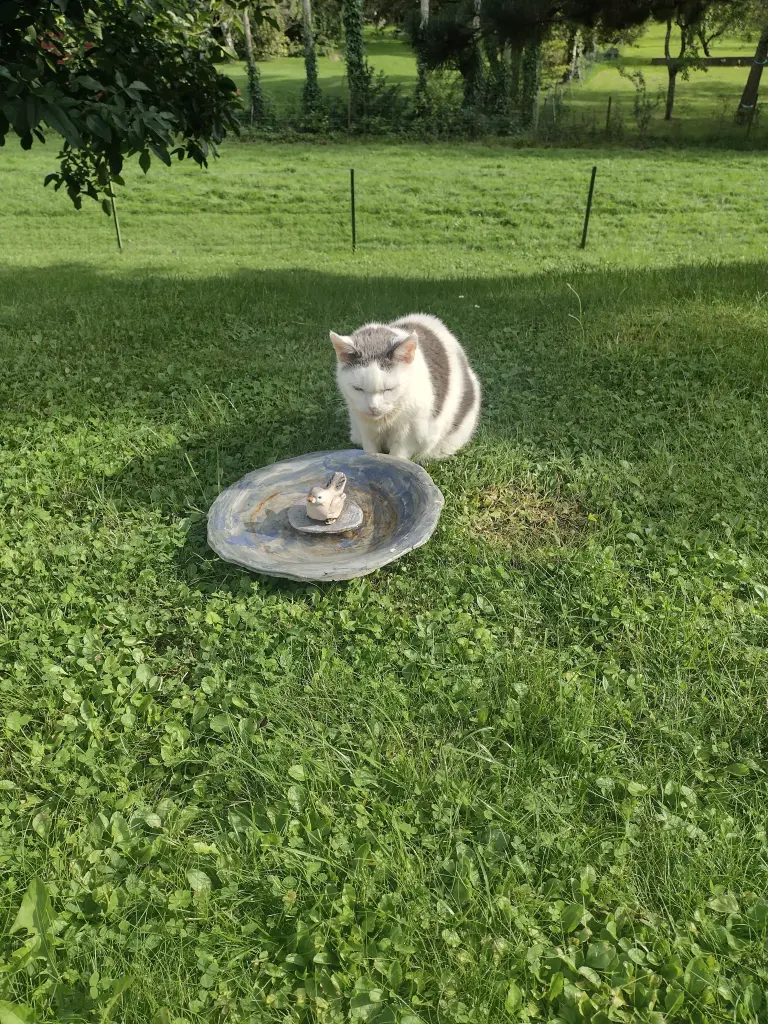 Condolence image of Mama ❤️