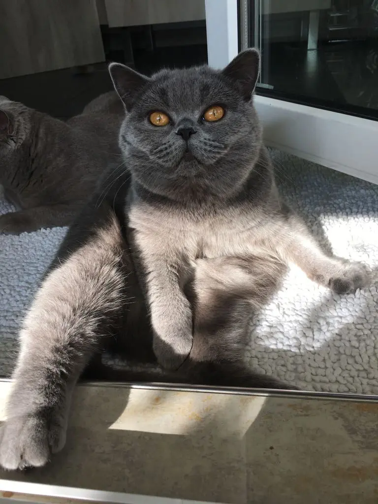 Condolence image of Sonja