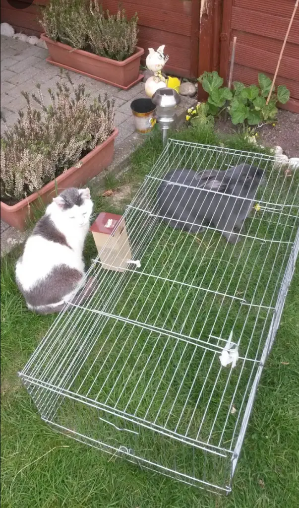 Condolence image of Mama ❤️