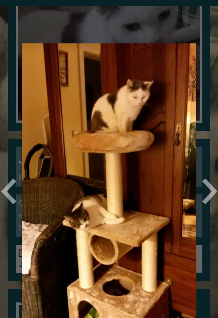 Condolence image of Mama ❤️