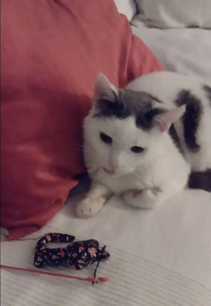 Condolence image of Mama ❤️