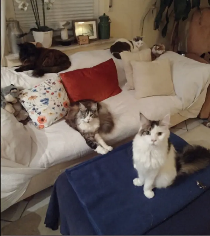 Condolence image of Mama ♥️