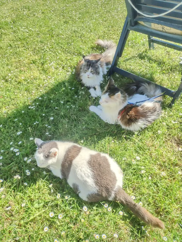 Condolence image of Mama ❤️